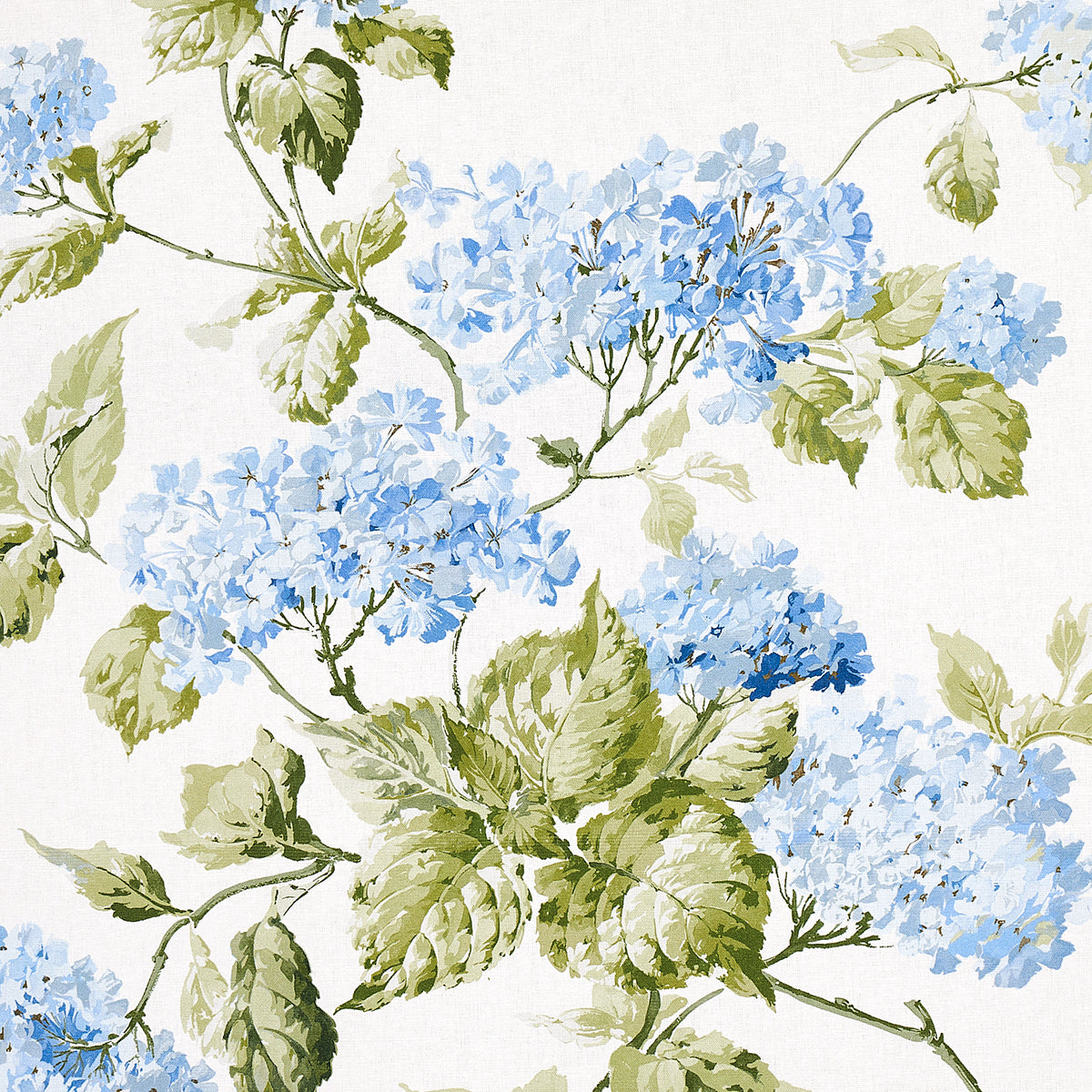 SUMMER HYDRANGEA | BLUE HYDRANGEA