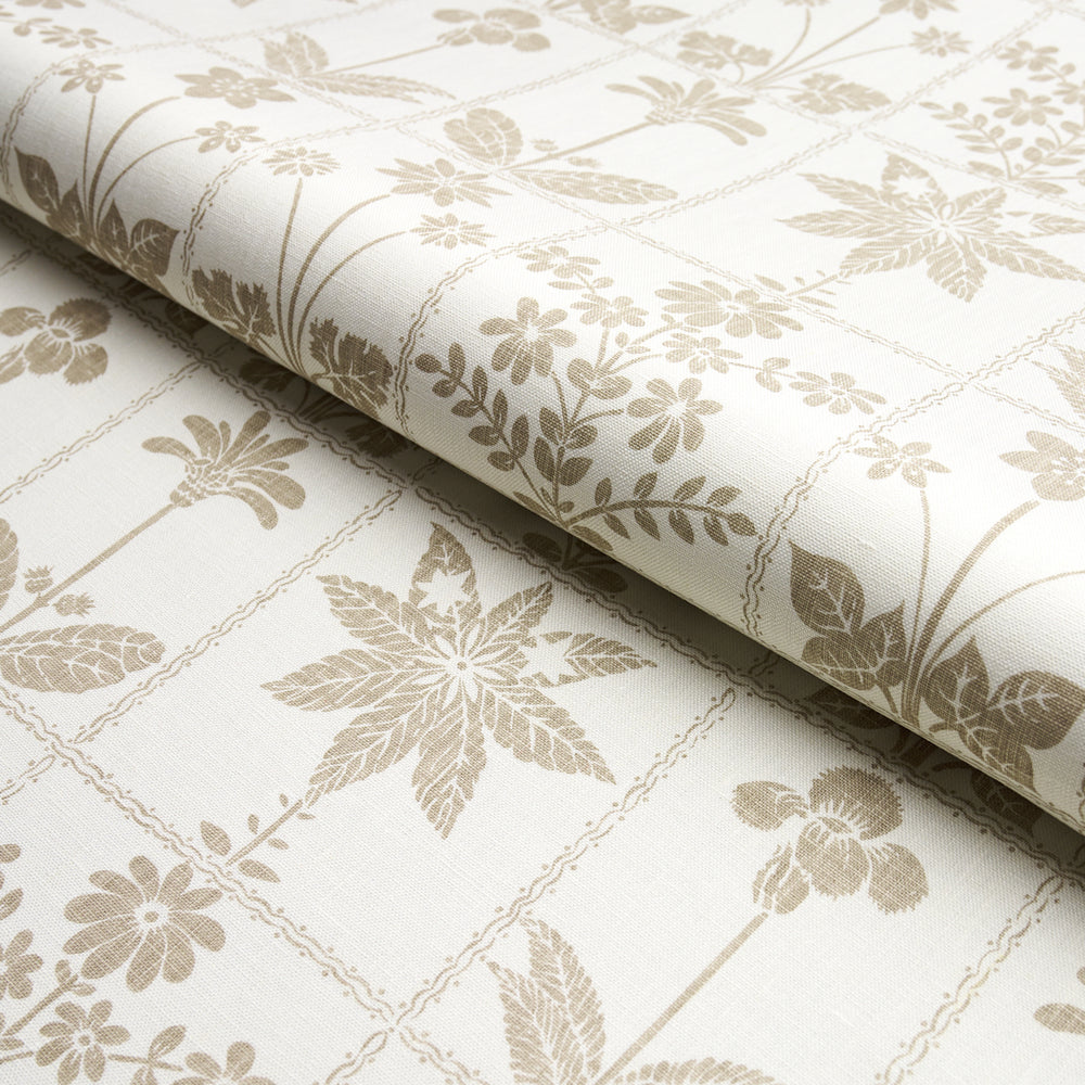 GEORGIA WILDFLOWERS | Neutral