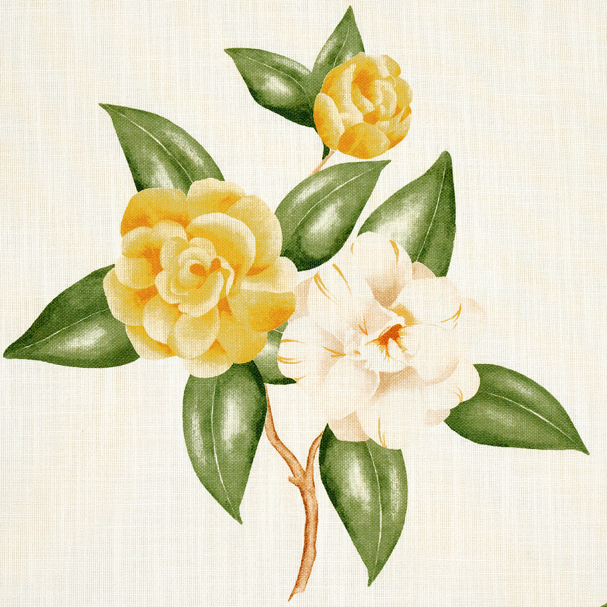 CASABLANCA FLORAL INDOOR/OUTDOOR | Pale Yellow