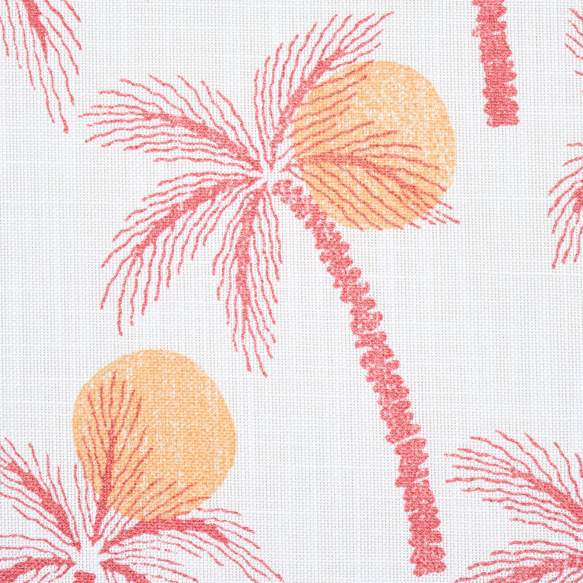 CLARABELLA PALM INDOOR/OUTDOOR | CITRUS