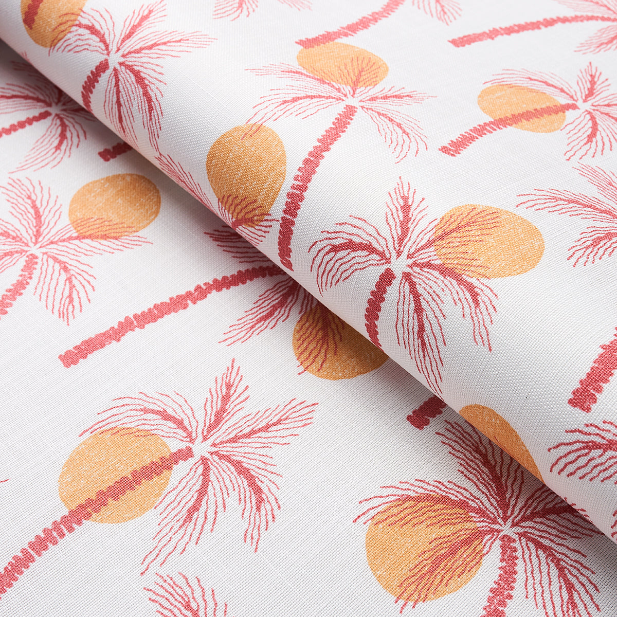 CLARABELLA PALM INDOOR/OUTDOOR | CITRUS