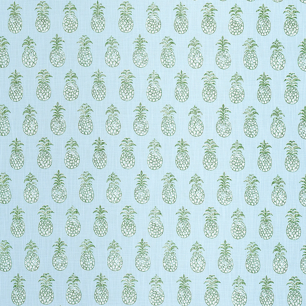 PIÑA COVE INDOOR/OUTDOOR | Aquamarine