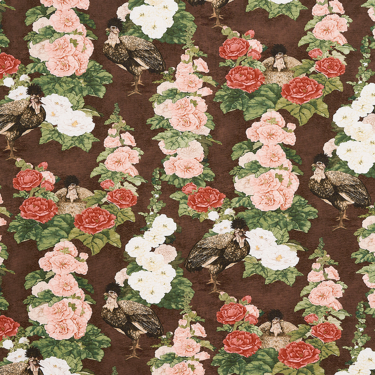 LADY HOLLYHOCK | BROWN