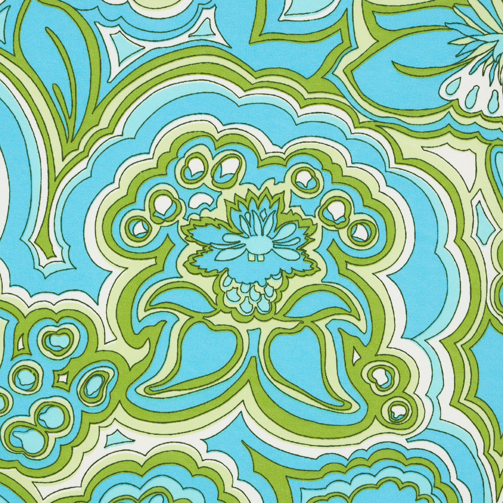 MORNING SUNRISE INDOOR/OUTDOOR | Fern