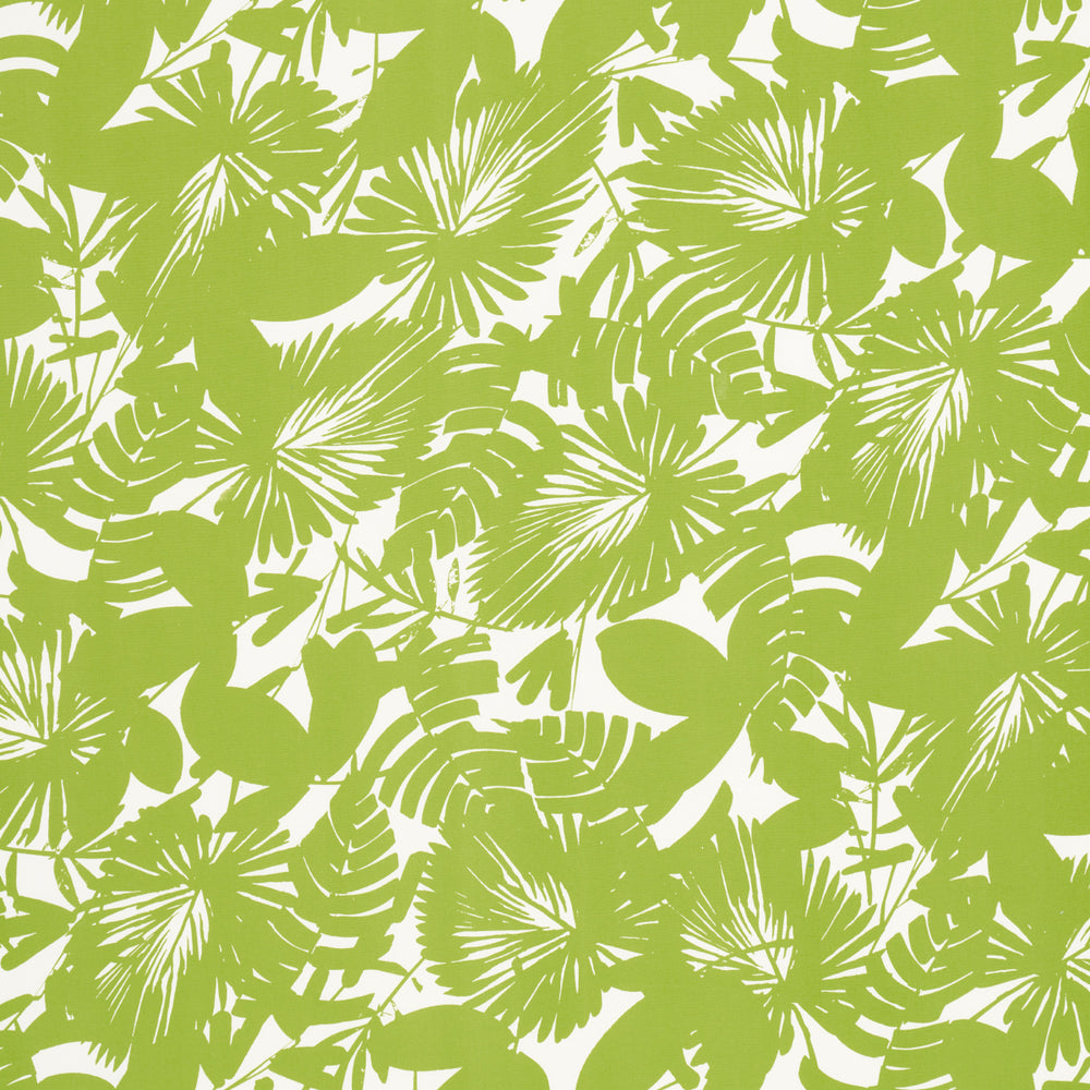 PALISADES PALM INDOOR/OUTDOOR | Fern