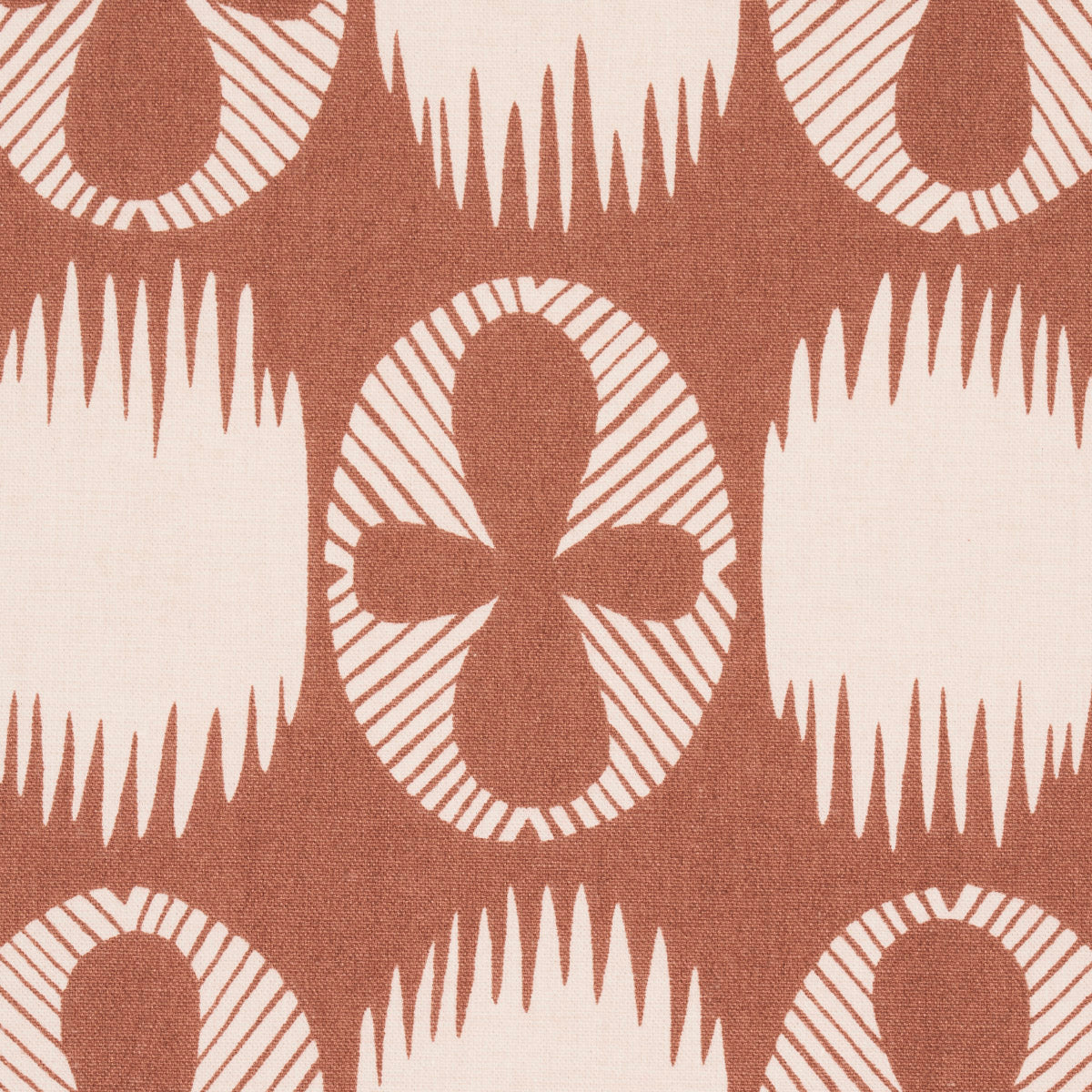 LUNARIA | Blush On Terracotta