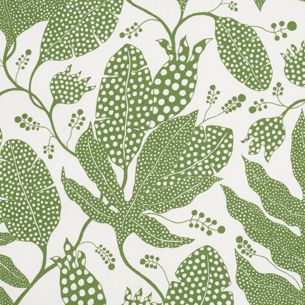 POLKA DOT JUNGLE | Green & Ivory