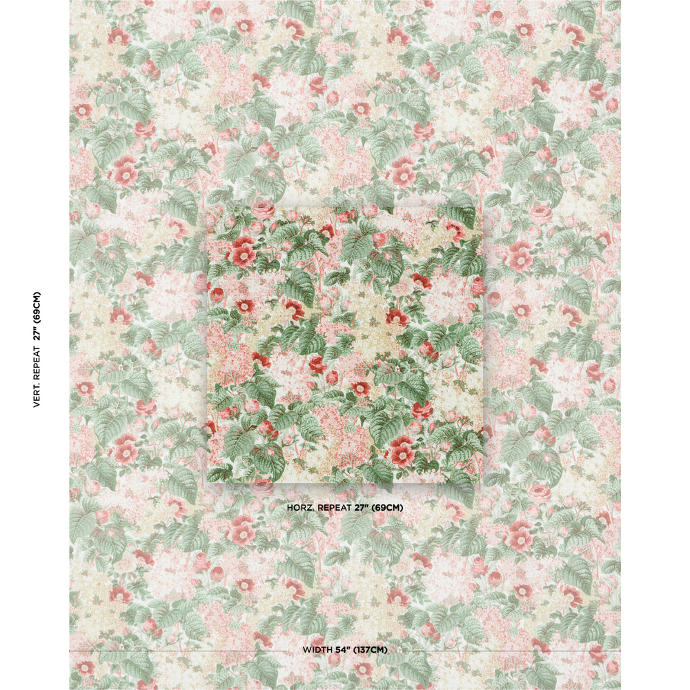 FLORA'S FLEURS | Apricot