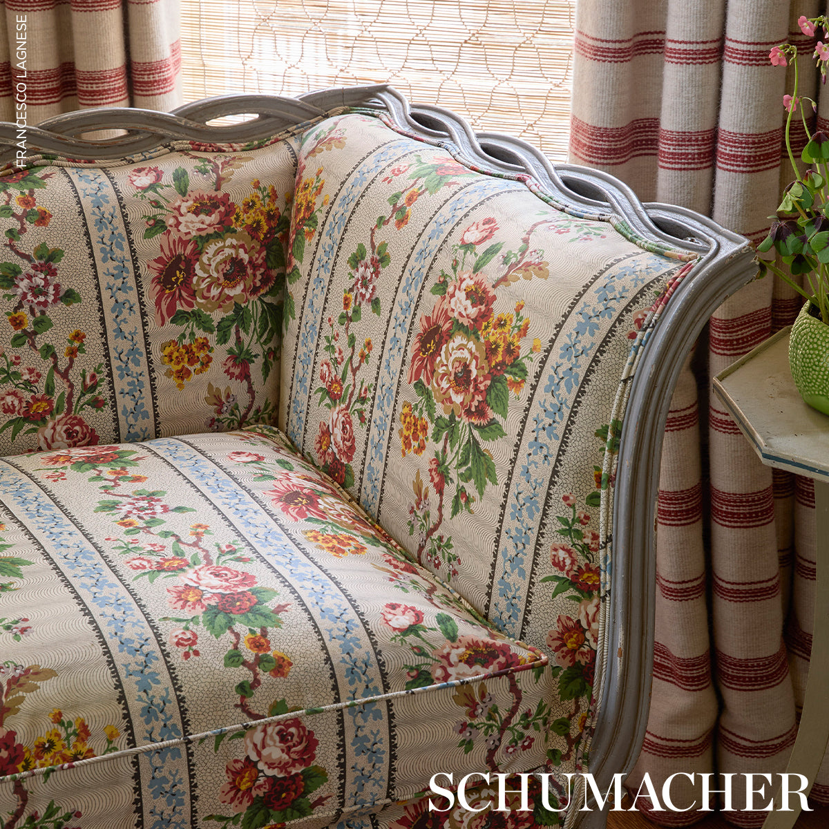 ELIZABETH CHINTZ | Rose