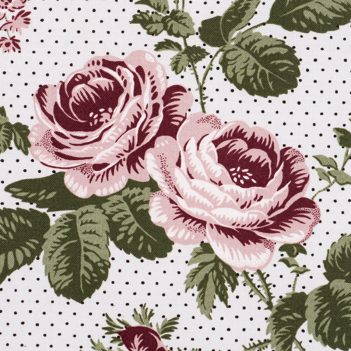 SIBYL CHINTZ | Rose