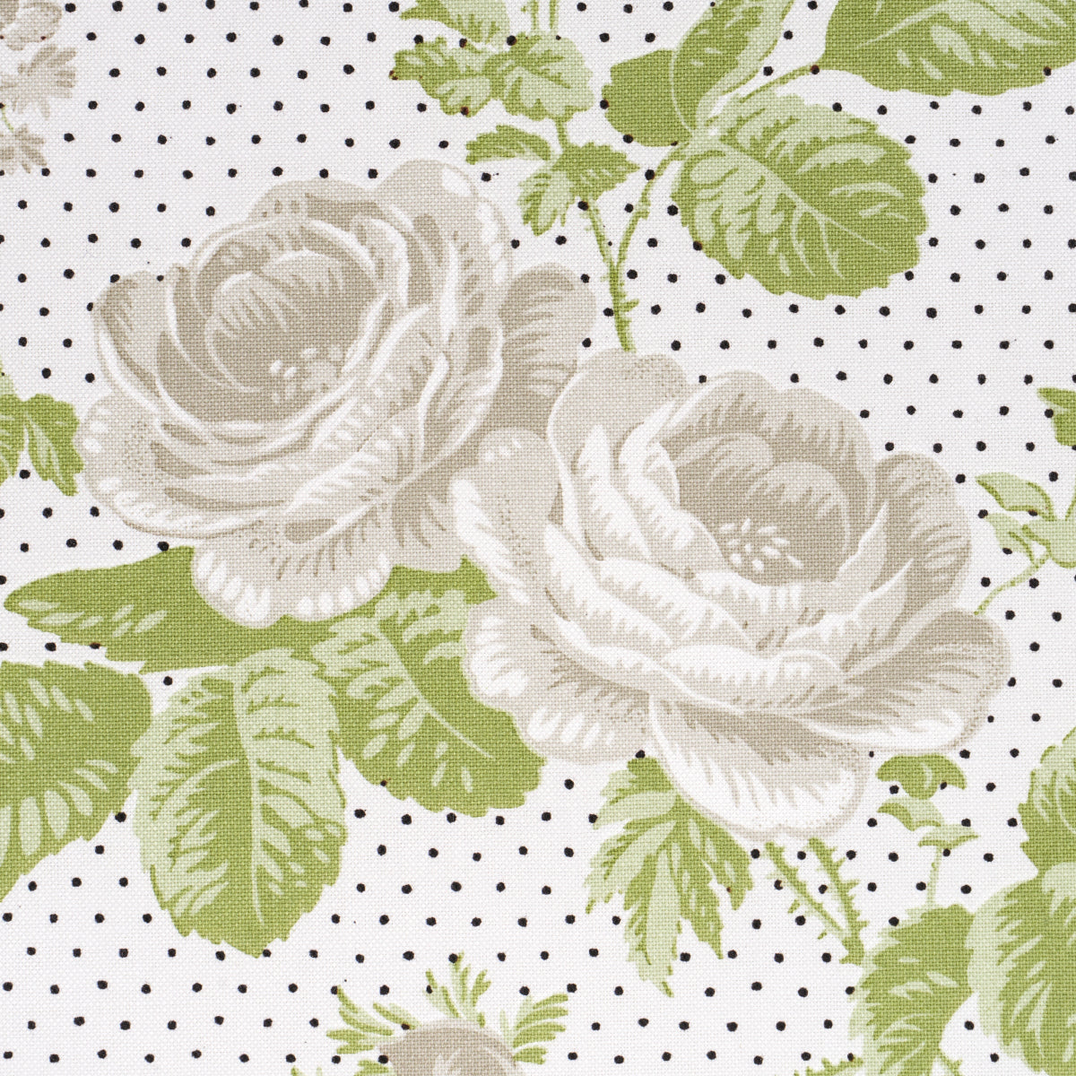 SIBYL CHINTZ | Neutral