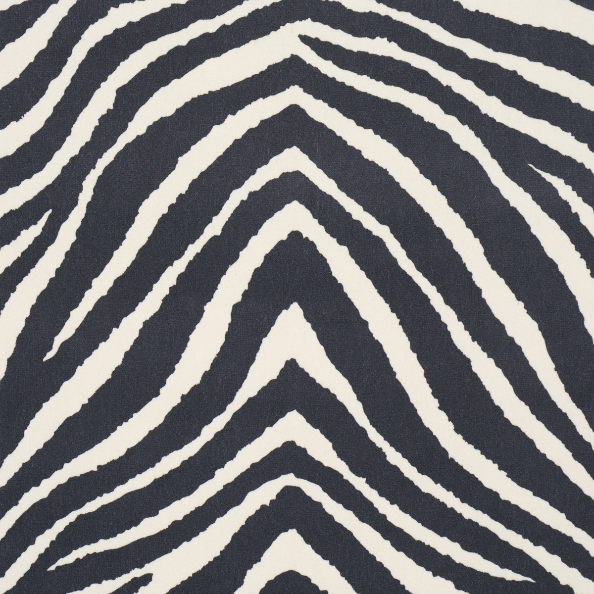 BLIXEN VELVET | Graphite