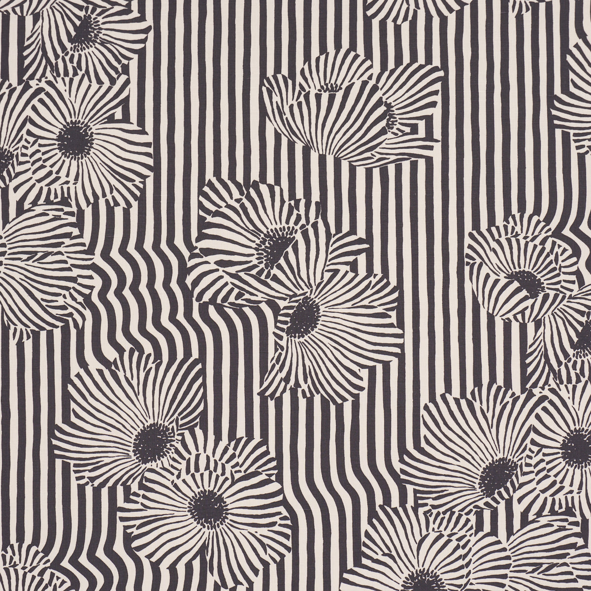 CHANEY FLORAL | Carbon