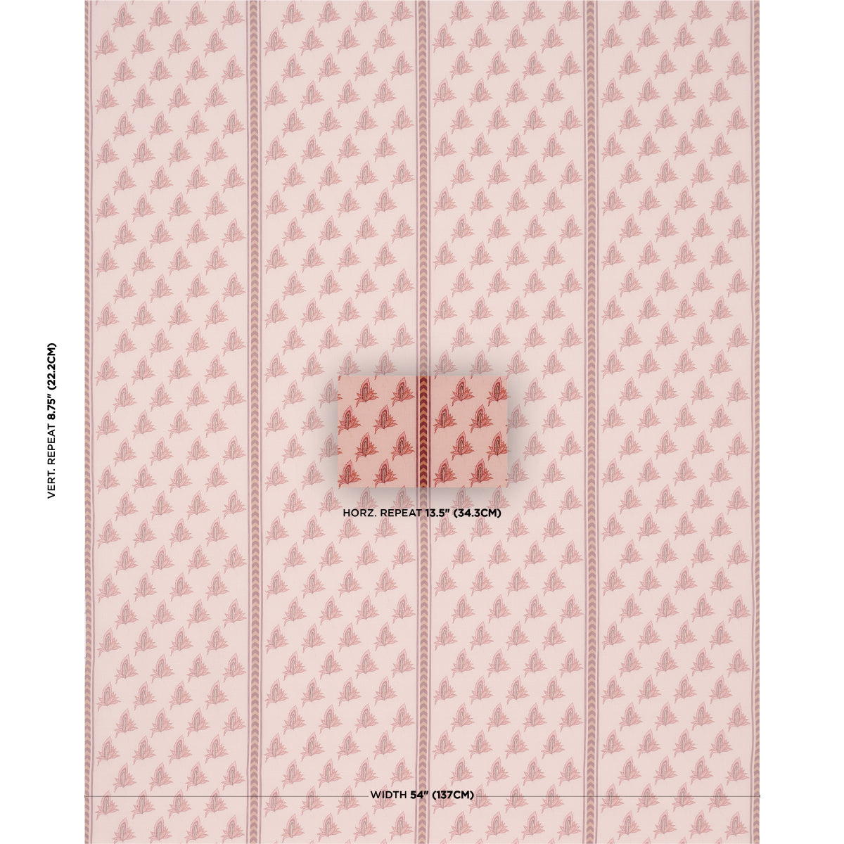 BANGALORE IMAGINATION | Rose