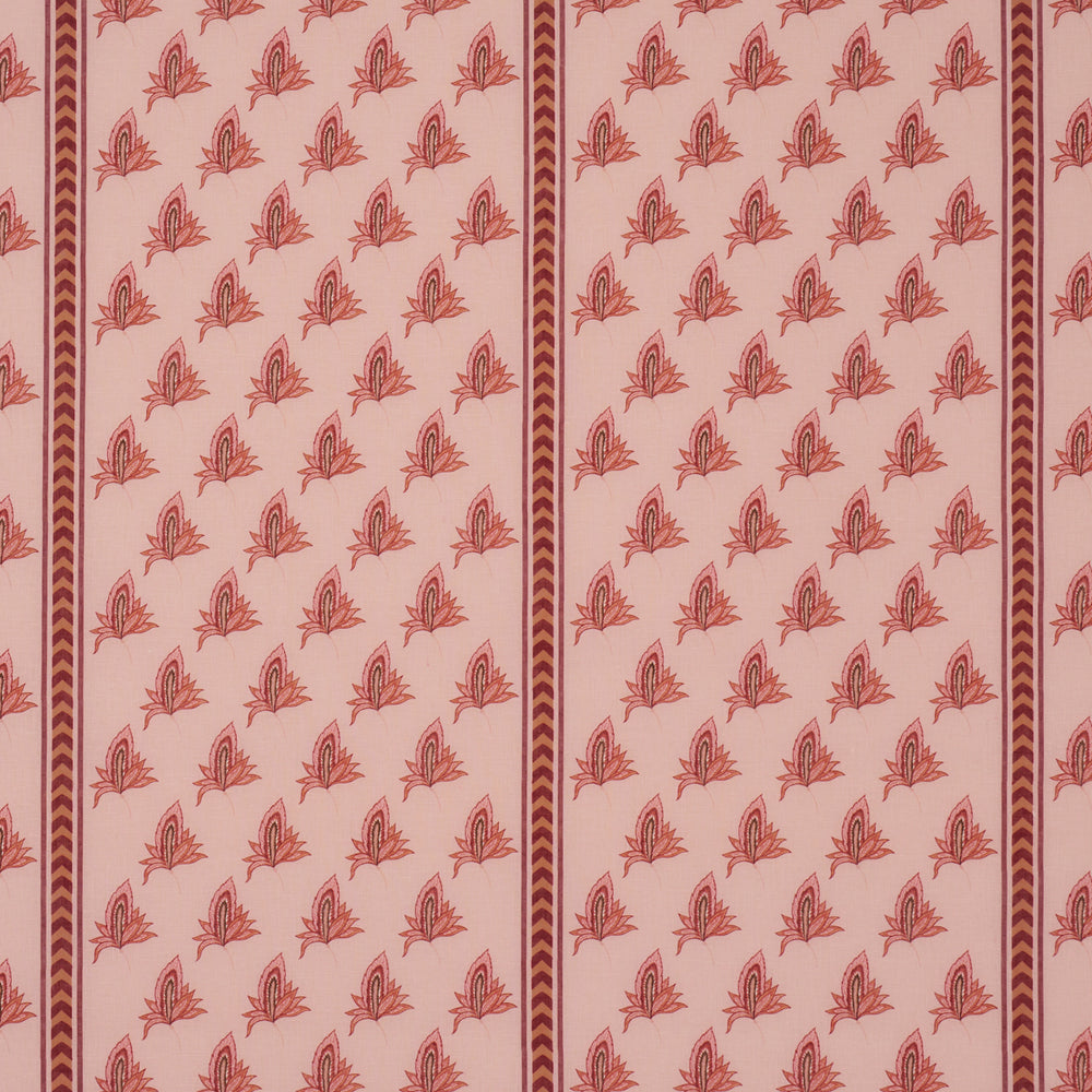 BANGALORE IMAGINATION | Rose