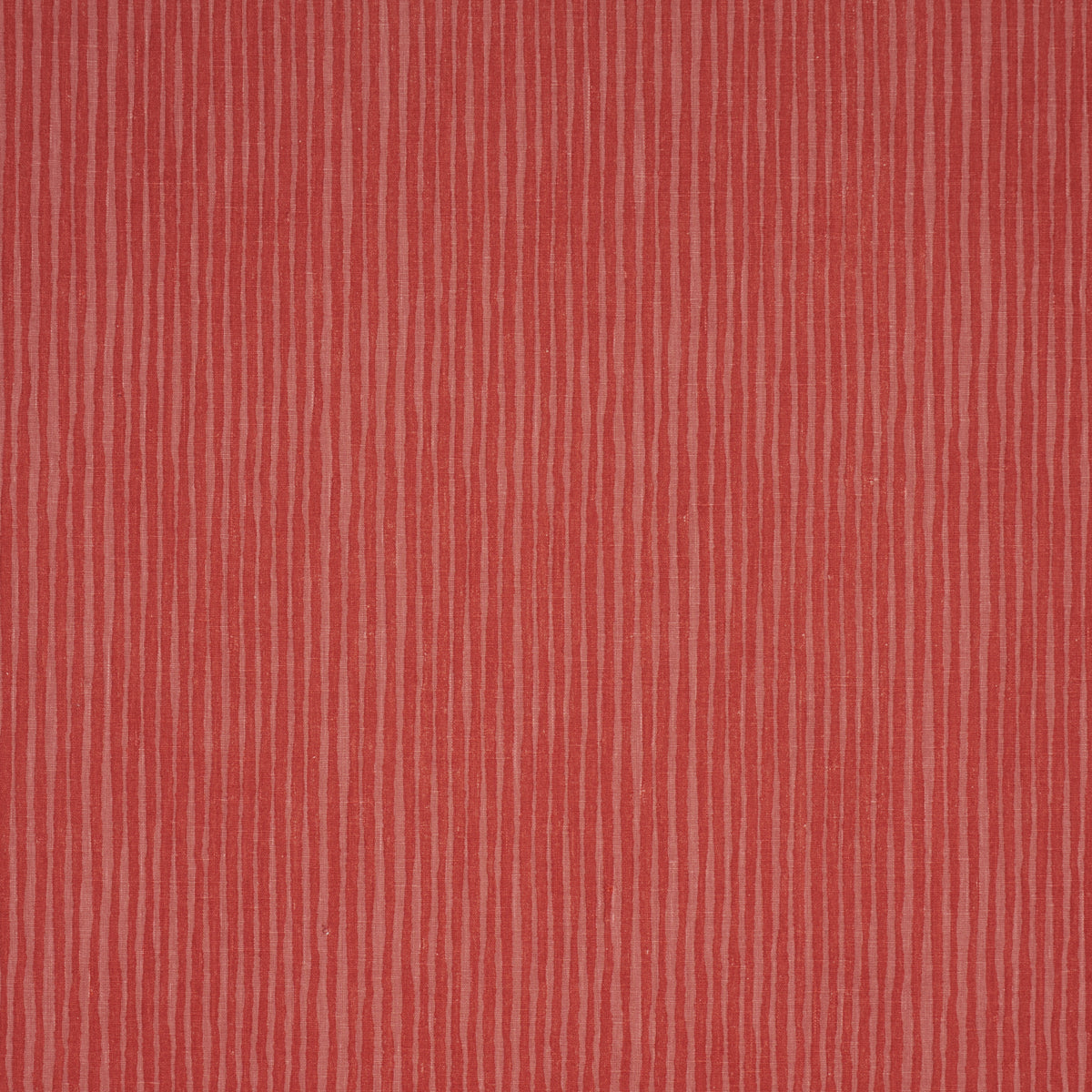 HALLUCINATION | Coral