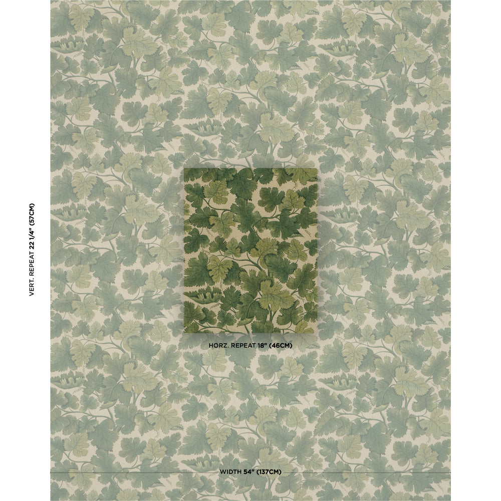 EDINBURGH VINE | Moss