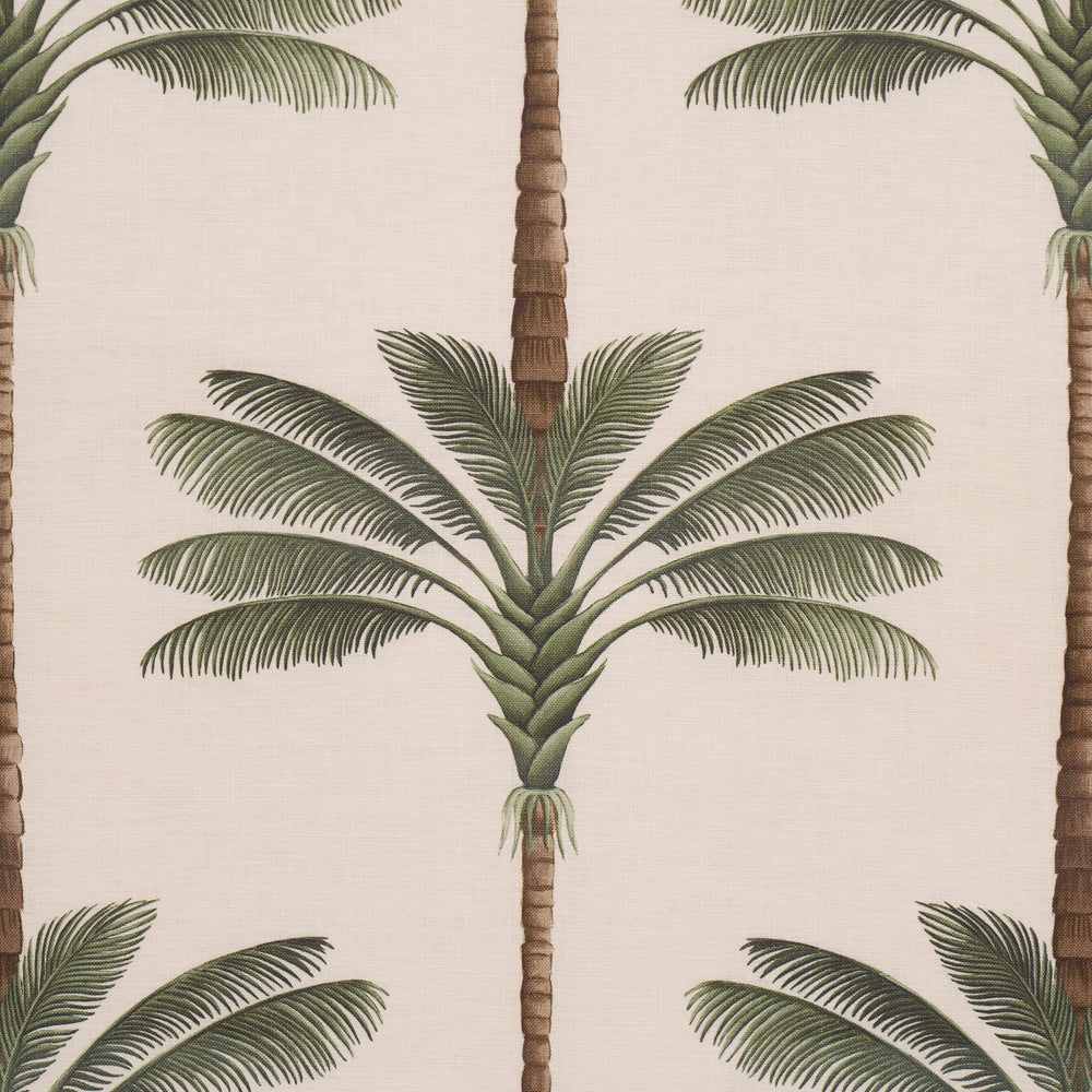 A PALM IS A PALM PRINT | Daylight Evergreen