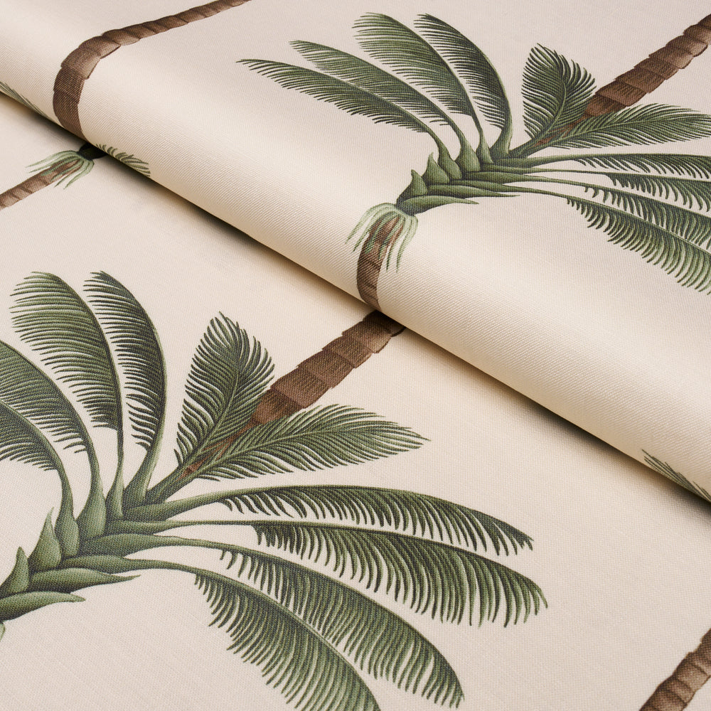 A PALM IS A PALM PRINT | Daylight Evergreen
