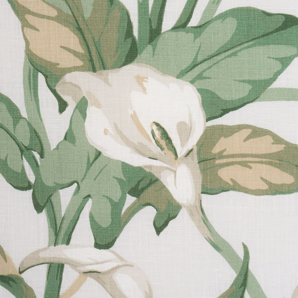 Arum Lilies | Ivory