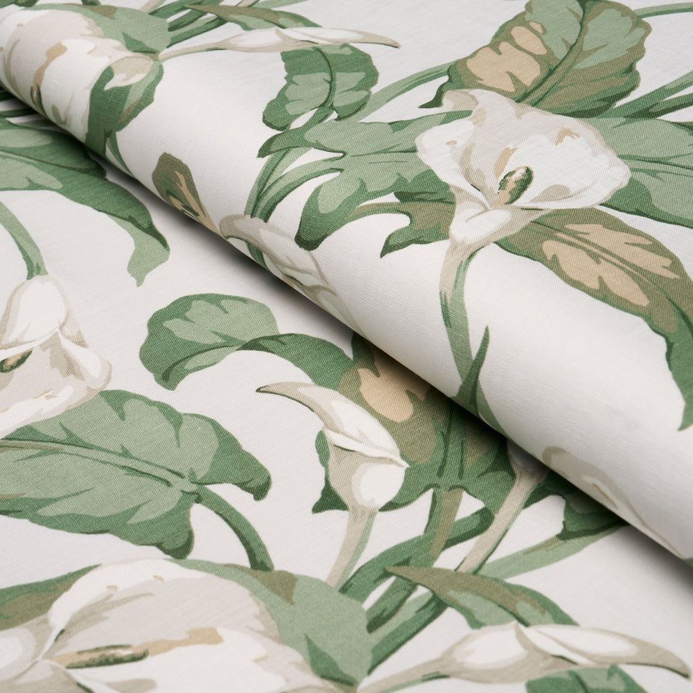 Arum Lilies | Ivory