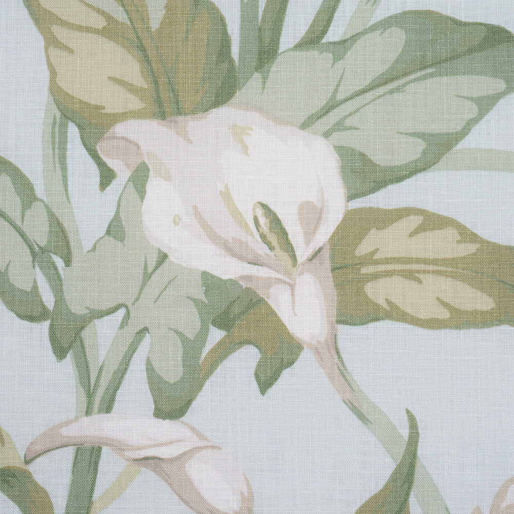 Arum Lilies | Aqua