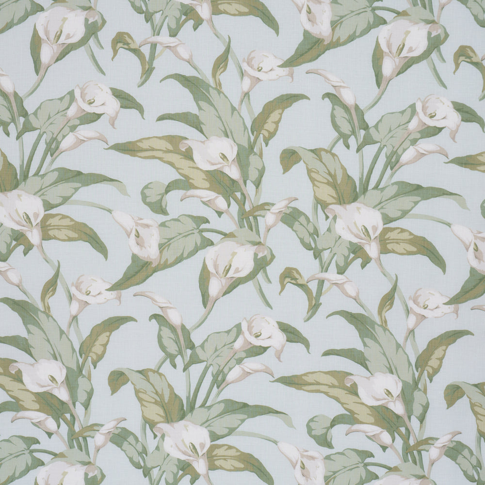 Arum Lilies | Aqua