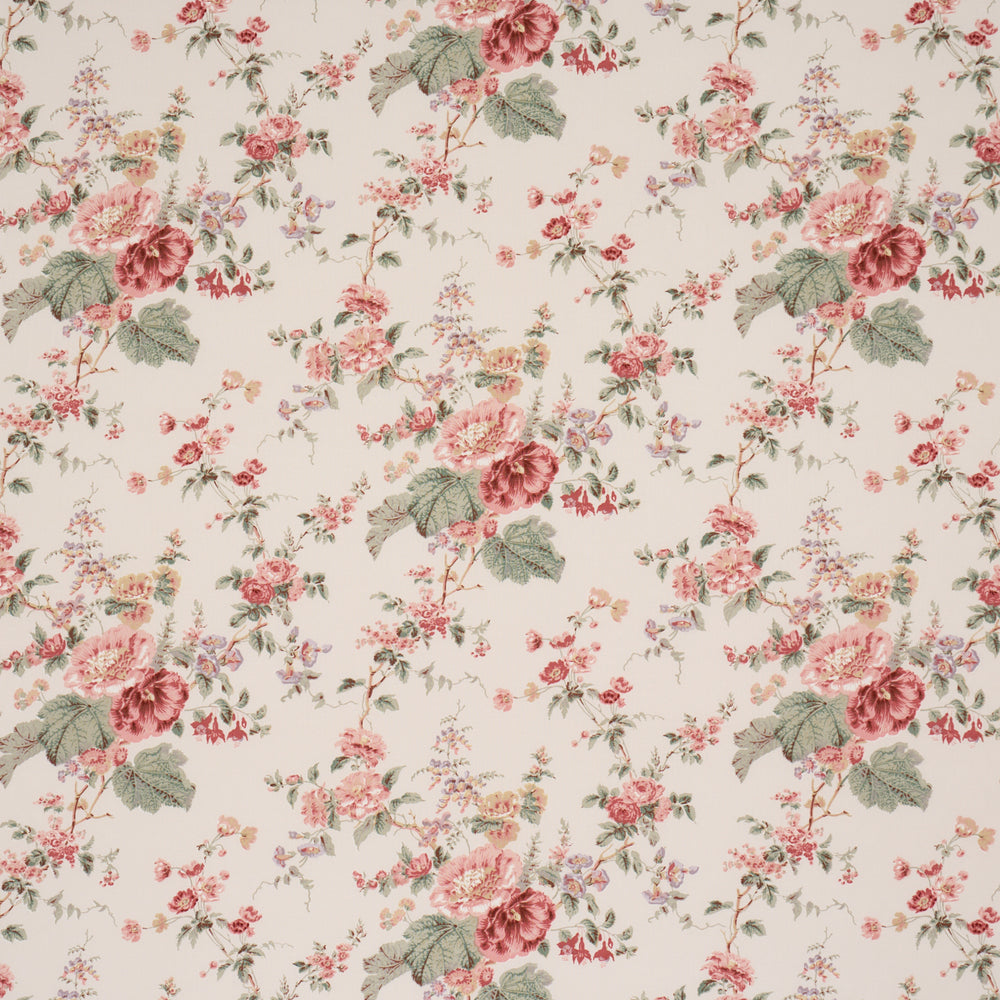 Midsummer Hollyhock | Rose