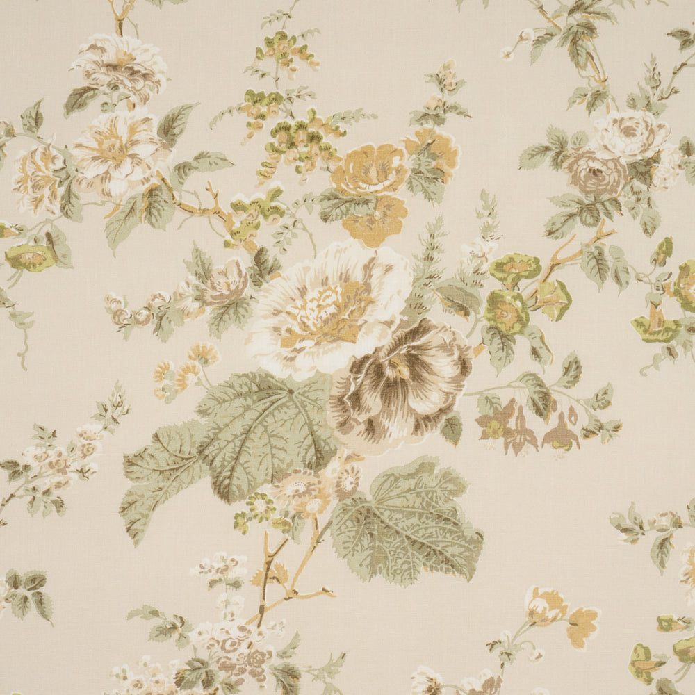 Midsummer Hollyhock | Citron