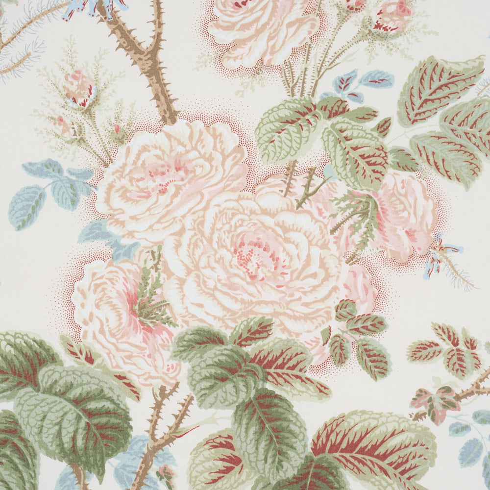 SHE WALKS IN BEAUTY CHINTZ | Rose
