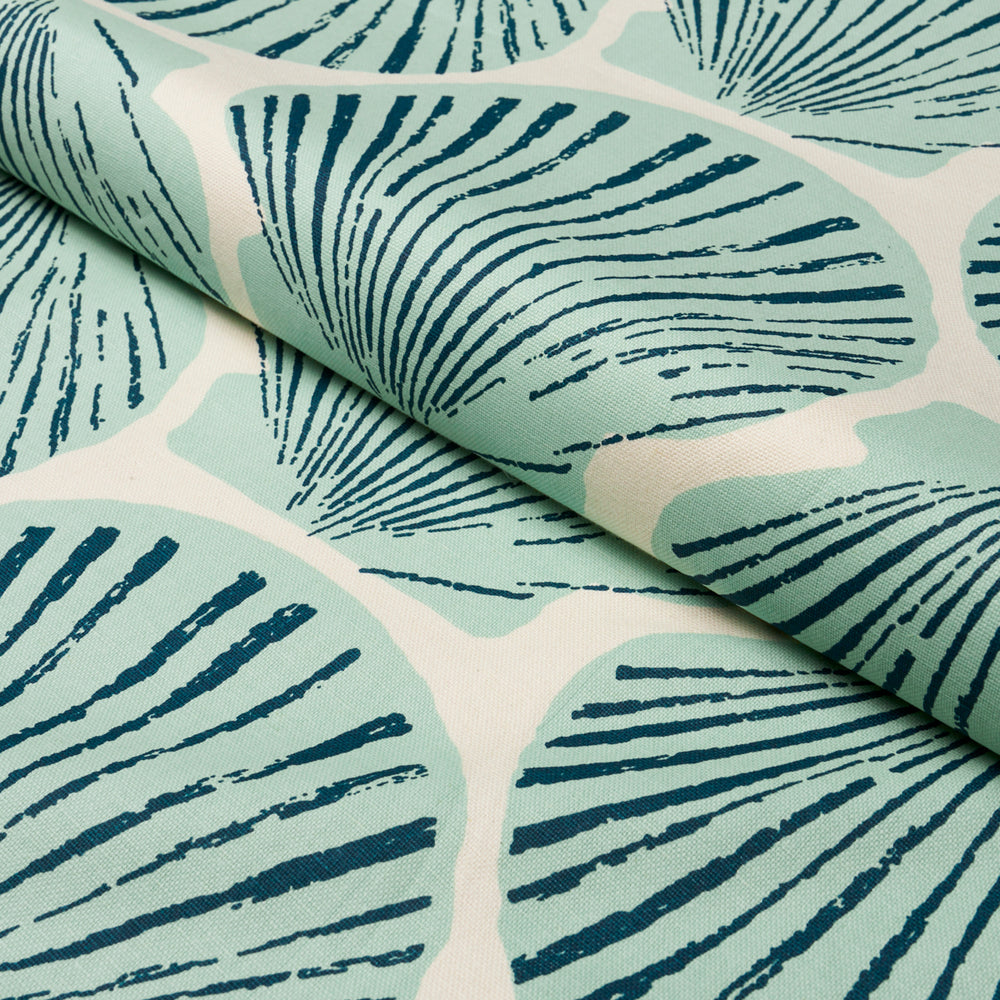SCALLOP SHELL | Aqua
