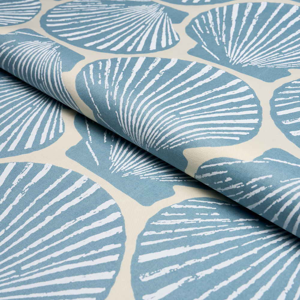 SCALLOP SHELL | Light Blue