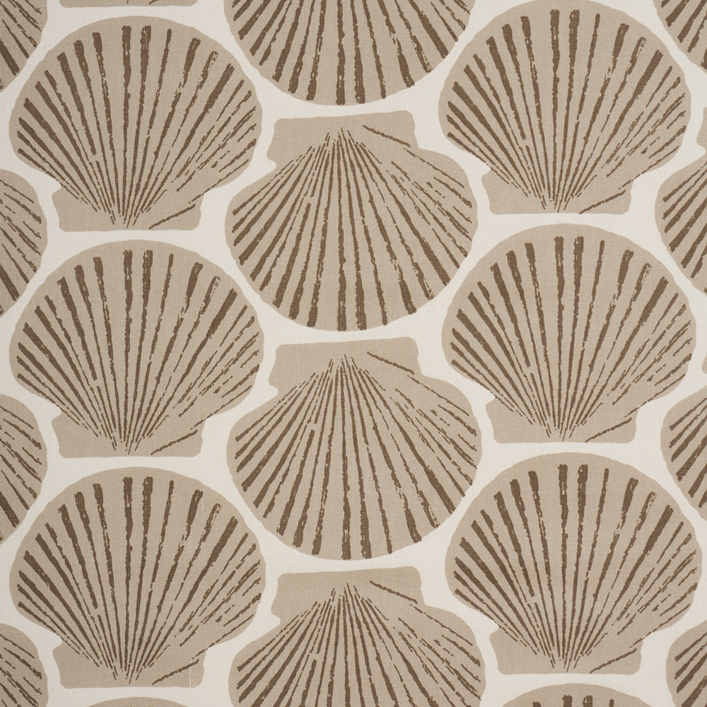SCALLOP SHELL | Natural