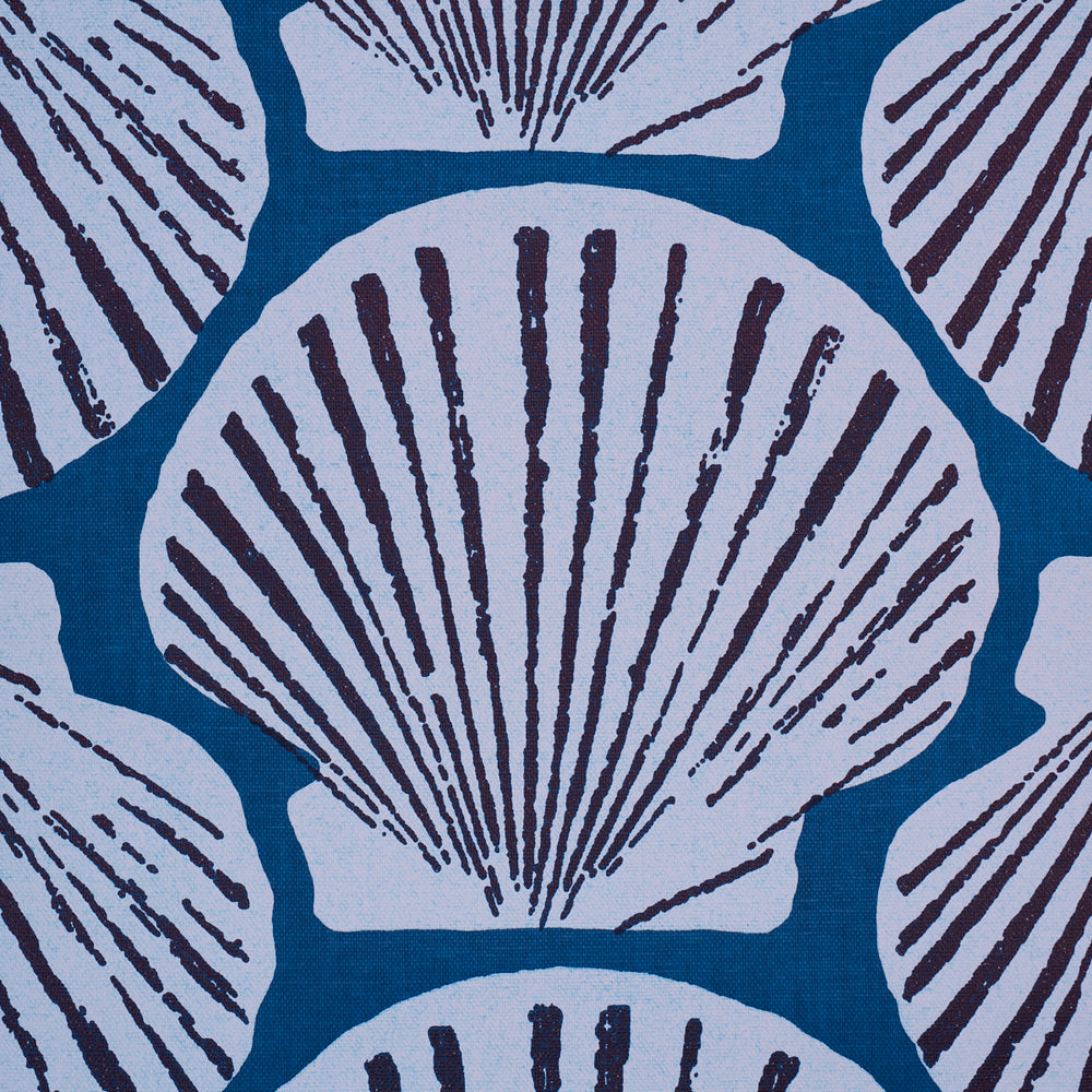 SCALLOP SHELL | Indigo
