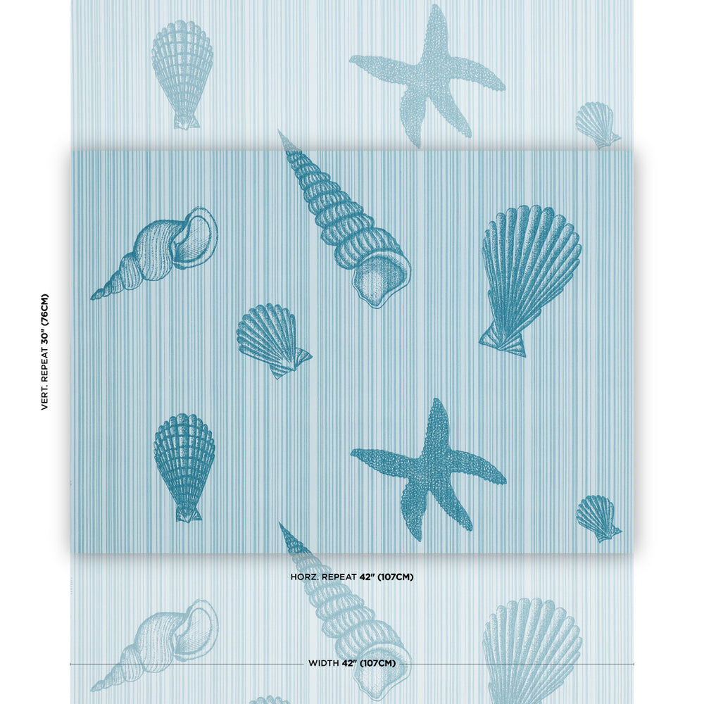 SEASHELLS | Ocean