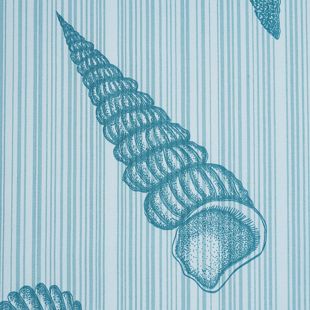 SEASHELLS | Ocean
