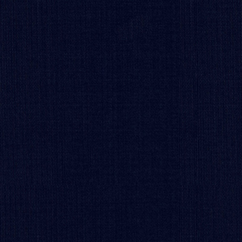 Sargent Silk Taffeta | Navy