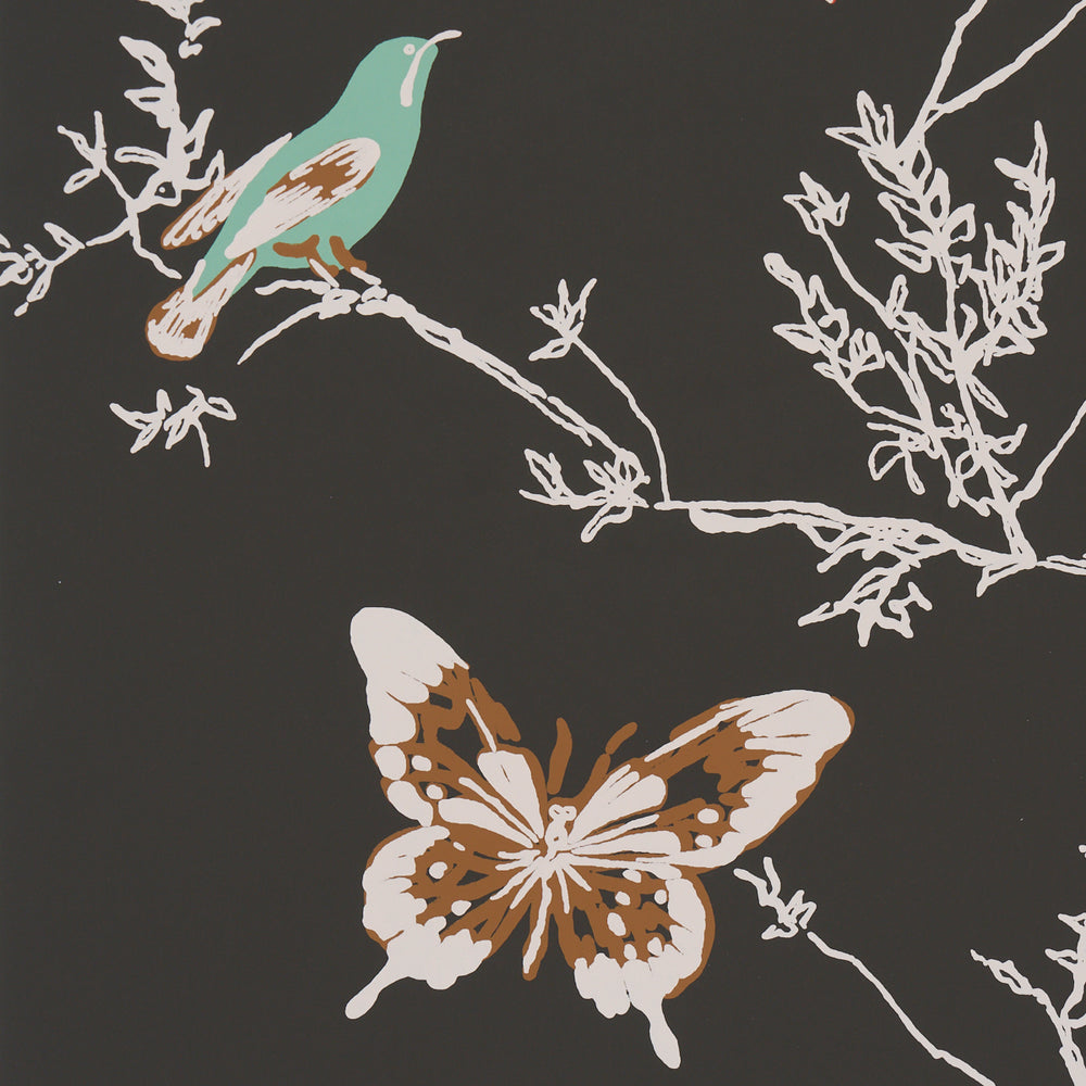 BIRDS & BUTTERFLIES | Graphite