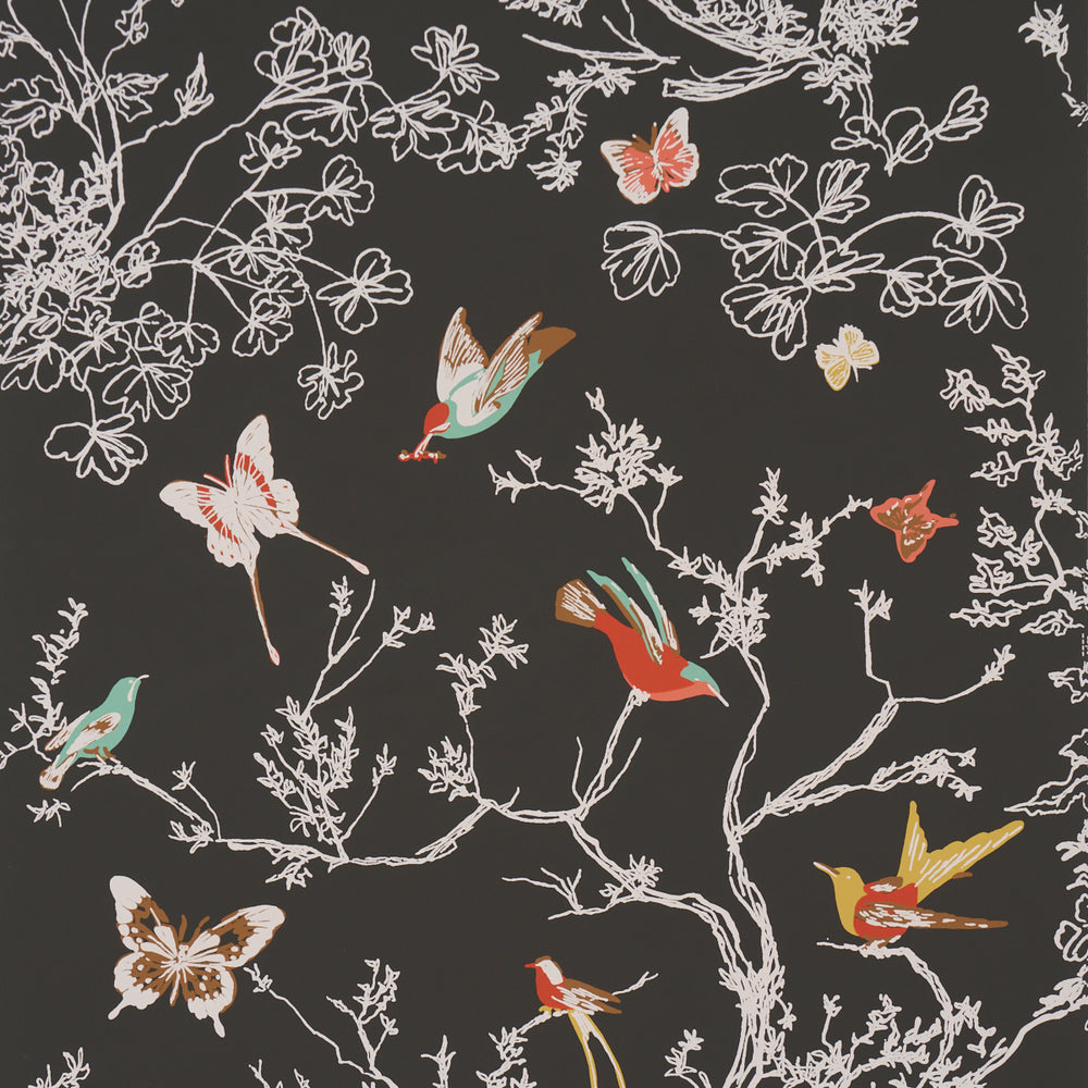 BIRDS & BUTTERFLIES | Graphite