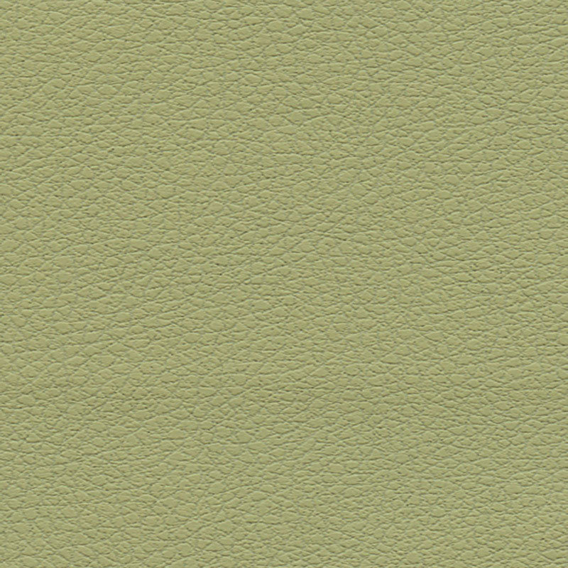 BRISA | Celery