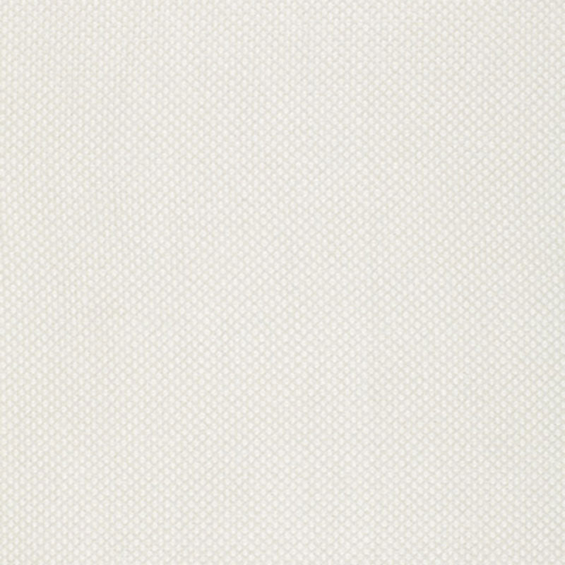 DUNBAR LINEN WEAVE | Natural