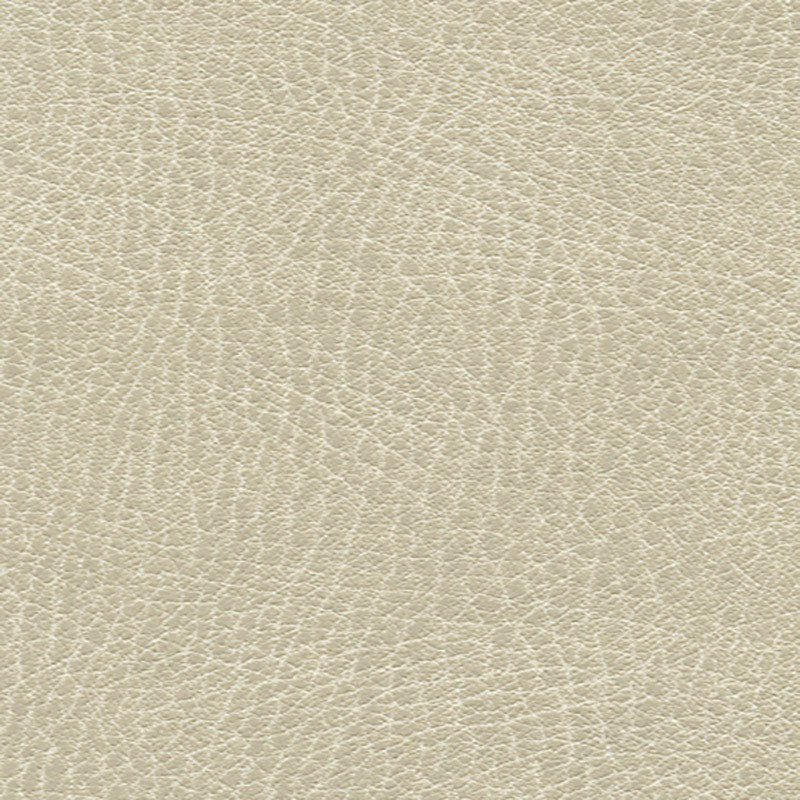 BRISA DISTRESSED | Putty