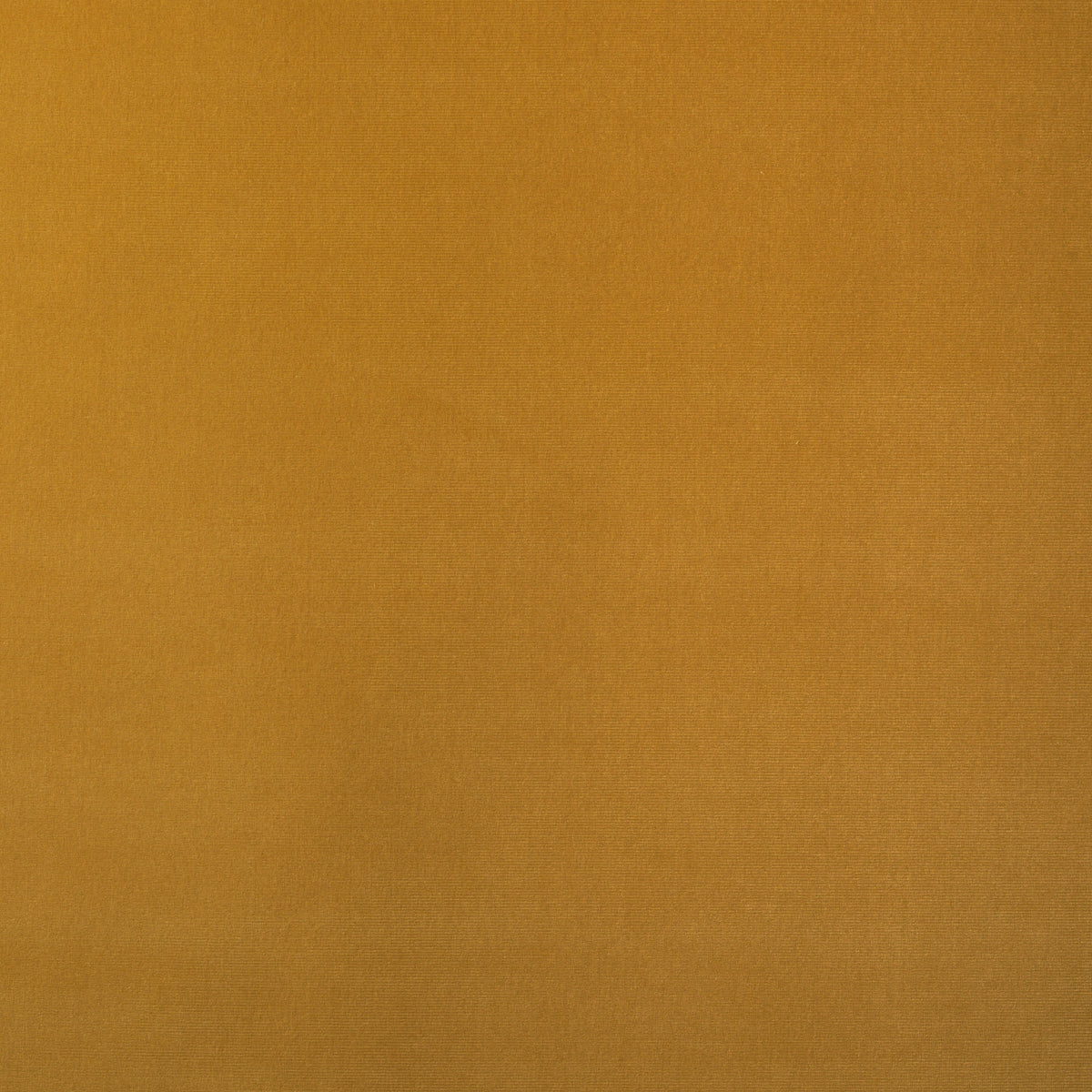 GAINSBOROUGH VELVET | WHEAT