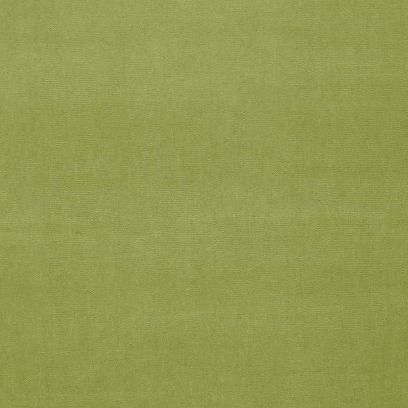 GAINSBOROUGH VELVET | CELERY