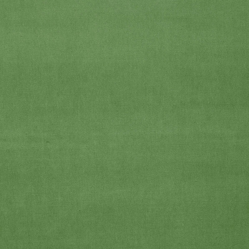 GAINSBOROUGH VELVET | Parrot