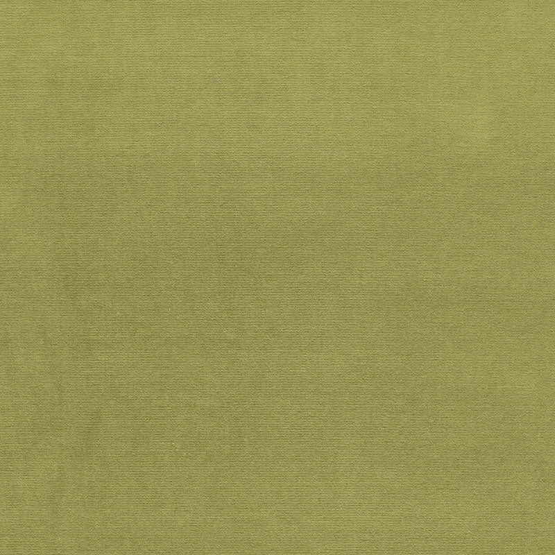 GAINSBOROUGH VELVET | Palm