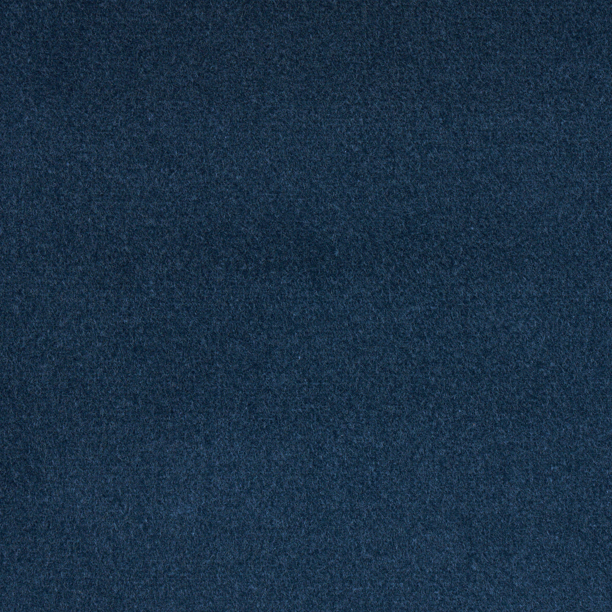 COTTON CLUB VELVET | Midnight Blue