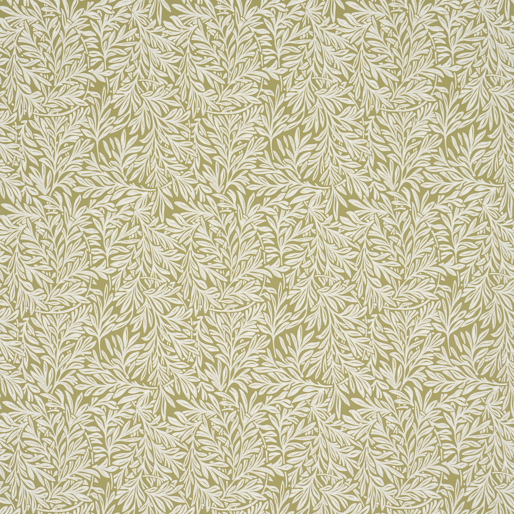 WILLOW LEAF | Moss