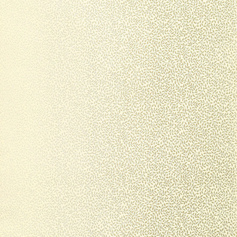 CELANO VINE | Mineral