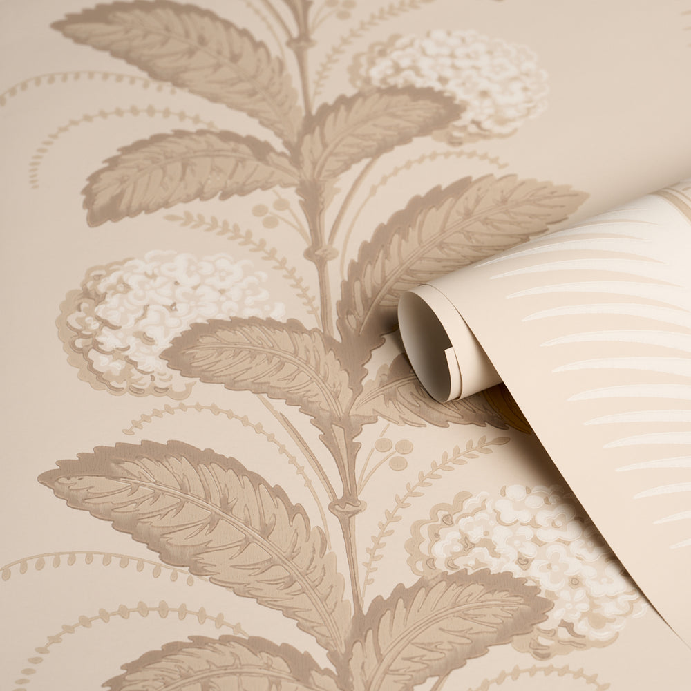 HYDRANGEA DRAPE | Fawn